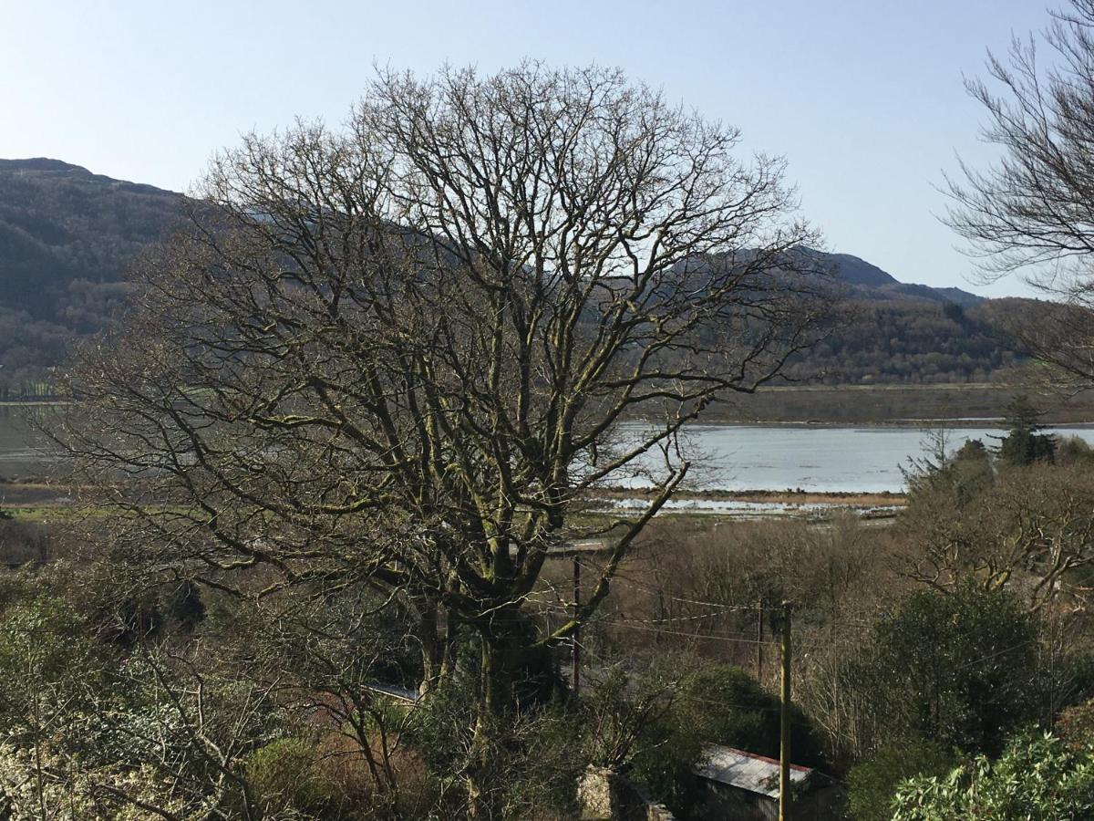 Вілла Snowdonia Mawddach Escape Долгелай Екстер'єр фото